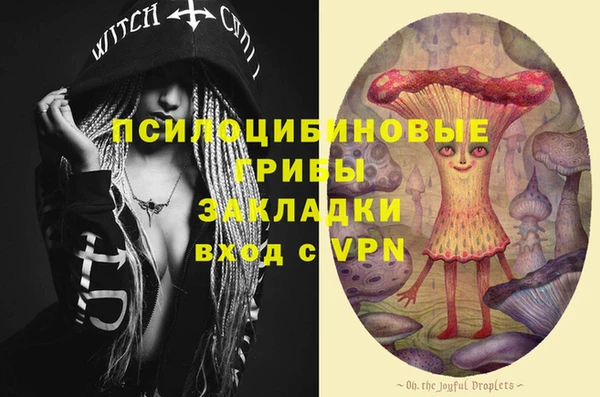стафф Михайловск