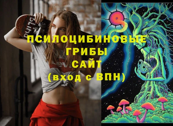 первитин Дубовка